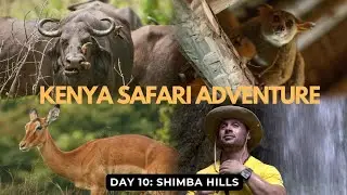 Kenya Safari Trip #10: A full day safari trip to Shimba Hills
