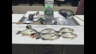 Crappie Fishing Arizona