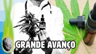 ANVISA LIBERA CULTIVO DE C4NN4B1S PARA USO MEDICINAL | PLANT&Atilde;O