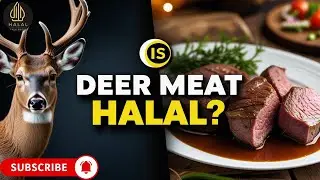 Is Deer Halal? Islamic Ruling on Venison Meat