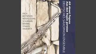 Chorale Prelude and Fugue in A Minor on O Traurigkeit, o Herzeleid, WoO 7 (arr. N. Schillings,...