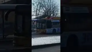 Man Lion's City CNG #324 na linii 11 w kierunku pętli Lwowska POM #autobus #mzk #zamość #bus