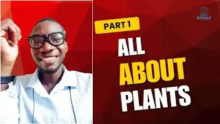Exploring Plants: Part 1 | Science for Key Stage 2 Students