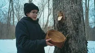 Chuck and The First Peoples Kitchen &ndash; Harvesting Sap the Traditional Way | APTN Lifestyle