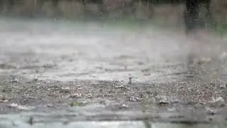 Heavy Rain Sounds for Deep Sleep 🌧️ Perfect Thunderstorm for Relaxation, Stress Relief & Insomnia