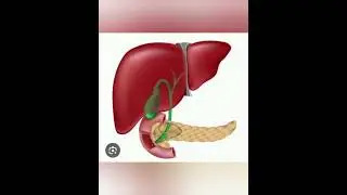 Biology.com PMPA 