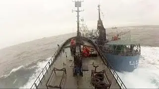 Sea Shepherd denuncia un ataque por parte de balleneros japoneses.