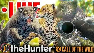JagWHERE Are All the Great One Fireworks?!? | Jaguar Go Grind #2 | LIVE