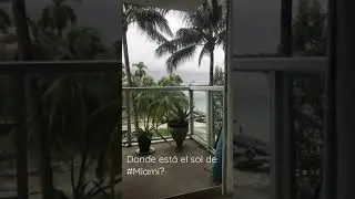 Gloomy day in #miami