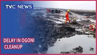 We are being sidelined from Ogoni cleanup - Women