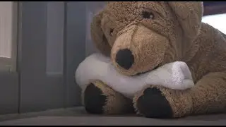 위로가 되어주고 싶은 강아지 (A puppy that comforts you / IKEA GOSIG)
