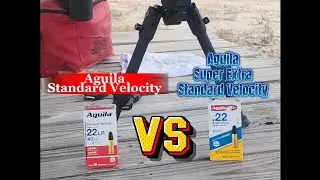 Aguila Standard Velocity vs Standard Velocity? 🤔
