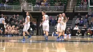 DeWitt Falls to Marian in State Title Game | Current Sports | WKAR