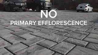 No Primary Efflorescence: Permeable Pavers Made With Solidia by EP Henry