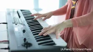 KORG PS60 Official Introduction Movie