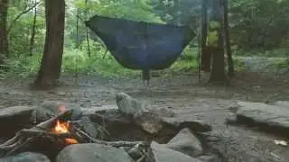 Guardian Bug Net