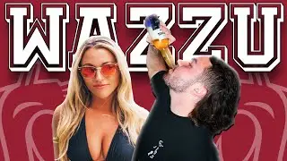Washington State University | BUZZIN ACROSS AMERICA
