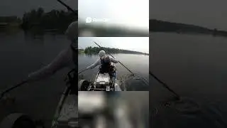 Давайте сыграем в игру. Трава или окунь? #советыпорыбалкескаяк #методырыбалки #техникарыбалки