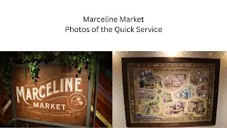 Disney Treasure Marceline Market Photos (NOT FOOD) #disney #disneycruise #disneytreasure #disneyvlog