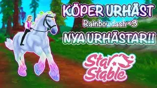 Star Stable Online | K&ouml;per en ny Urh&auml;st! | #Jorvikwild