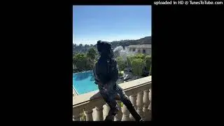 PAYGOTTI TYPE BEAT 