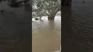 Wow Hampi Floods #religion #hindu #god #hampi #temple #flood