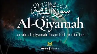 EMOTIONAL QURAN recitation | Surah Al-Qiyamah (سورة القيامة) ⋮ MUSLIM TV | MUHIB AL MAHDI