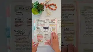 How I Scripture Map Unicorn!