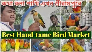 শ্রীরামপুর হাটে কথা বলা পাখি 💥।। SERAMPORE PET MARKET TODAY BIRD PRICE UPDATE ।।#serampore #birds