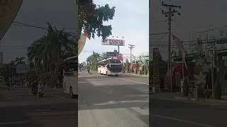 BUS SINAR JAYA 2XA SLAWI TEGAL X DERES DI JALAN PROCOT SLAWI TEGAL
