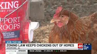 Ardmore woman fights to keep chickens despite zoning law