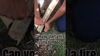 How to start a fire using bamboo | Shorts