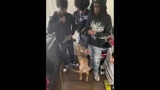 RubberBand TaeTae - Sharkhead 
