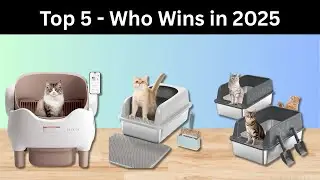 Top 5 Best Cat Litter Box  2025 - Buyer's Guide