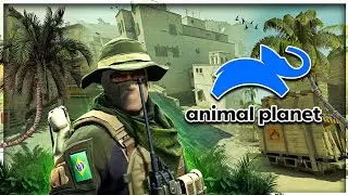 THE COUNTER-STRIKE 2 ANIMAL PLANET 😍