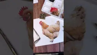 Watercolor Chicken Painting #artshorts #watercolor #chicken #hen #art
