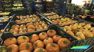 Mercamálaga - El mayor mercado mayorista de Andalucía Oriental