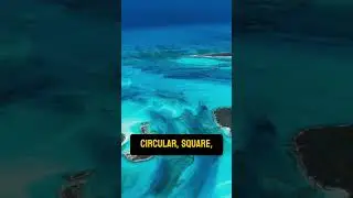 Who Built Cuba's Forgotten, Mysterious Sunken City? #mystery #history #world