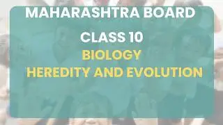 Class 10 - Biology - Chapter 1: आनुवंशिकता व उत्क्रांती &ndash; Part 3 Maharashtra State Board