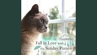 Passion Sundays