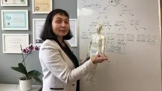 Система 1 Метод локального баланса, часть 7