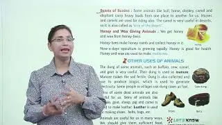 Ch 9 | Lavendar Books | Science | Class 02 | Domesticated Animals and their Uses | For children