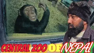 central zoo of kathmandu nepal&bull; jawlakhel zoo park&bull; chidiyakhana tour&bull; nepal zoo park&bull; biggest zoo