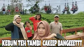 JALAN JALAN KE KEEBUN TEH WONOSOBO