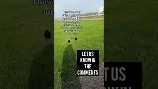 Crow Caw Conundrum: We Seek Your Wisdom on YouTube! #corvids #crow #crowcall #caw #crows