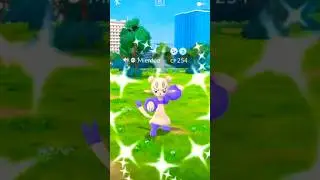 🔥Более 60 SHINIES во 2-й день &mdash; GO Fest!🔥 Pok&eacute;mon GO! #pokemongo #pokemongolive #shinypokemon #go...