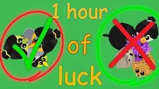 mope.io: 1 HOUR LUCK of ONLY BIRDS