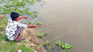 Asian Traditional  Hook Fishing - Traditional Hook Fishing by Village People - MR Fishing Life