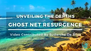 Ghost Fishing In Trincomalee Sri Lanka: Unveiling The Depths Coral Reef Conservation and Ecology