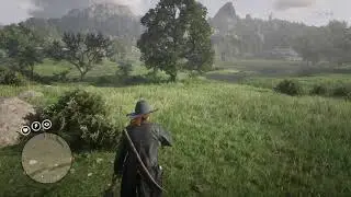 Red Dead Redemption 2 Online Heartland Overflow Collectible